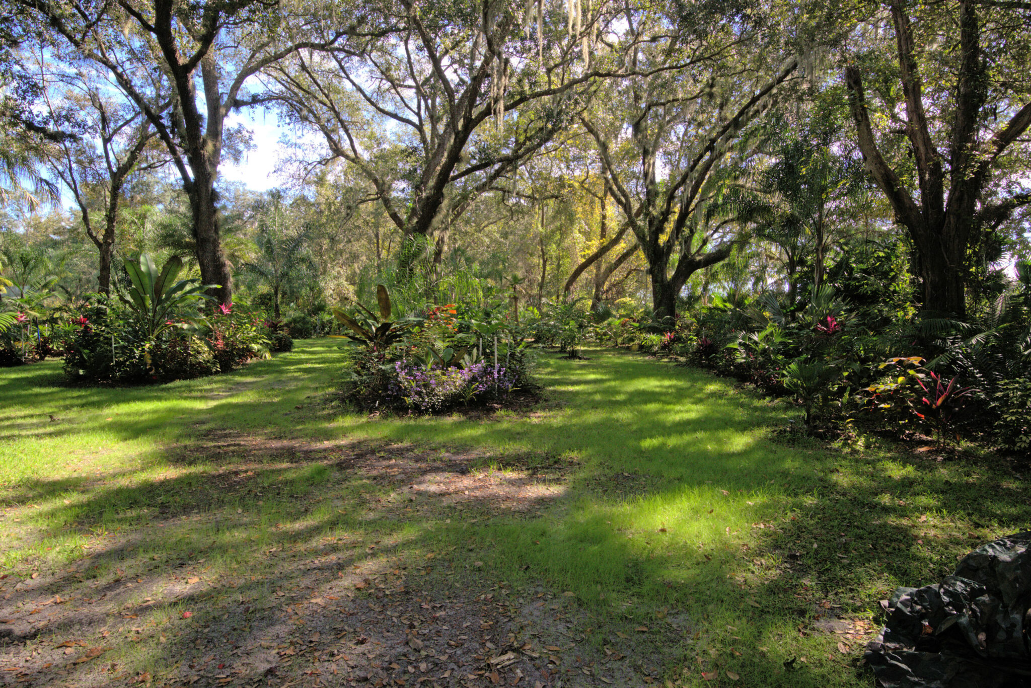 Home St. Johns Botanical Garden