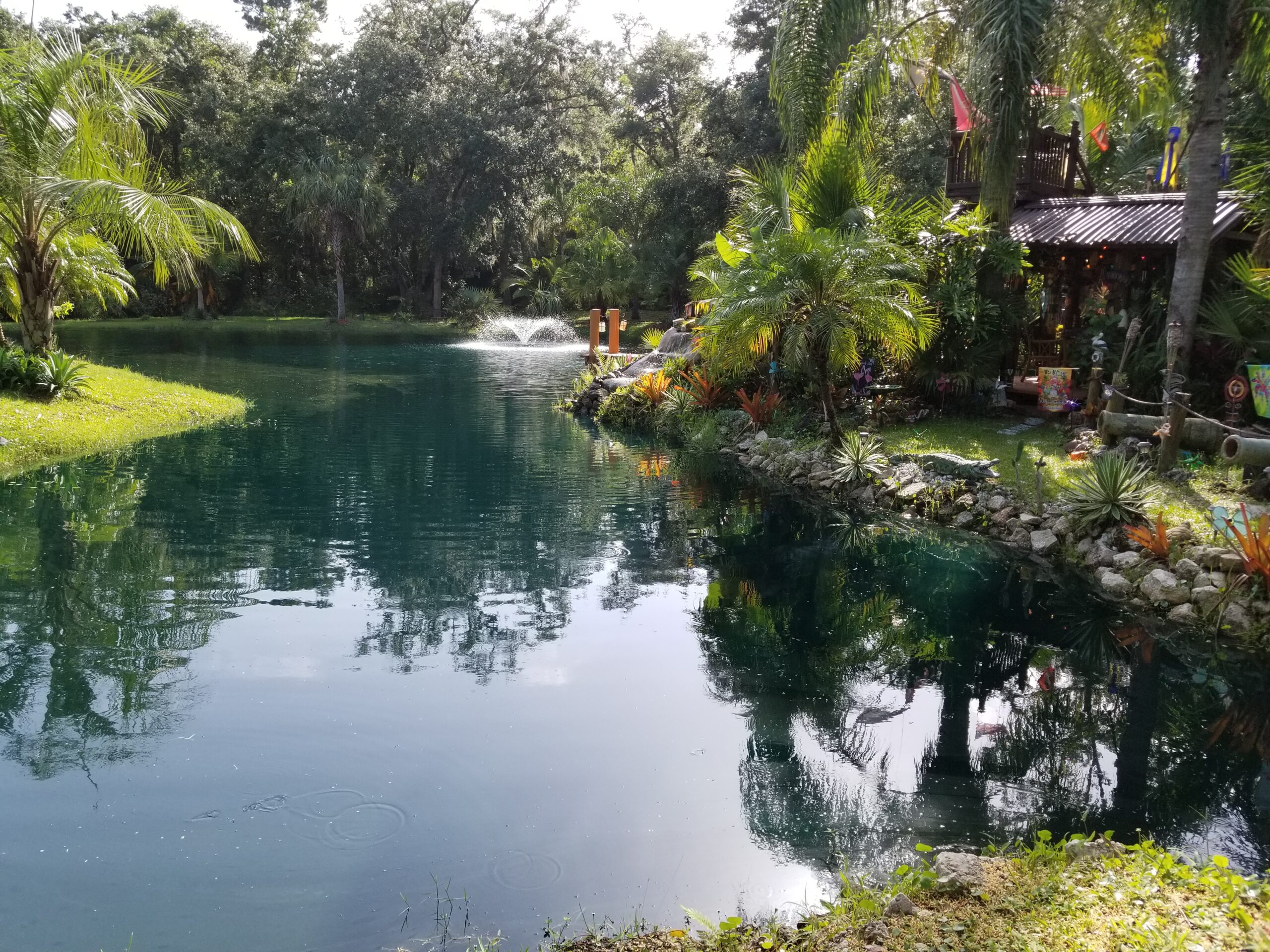 Home St. Johns Botanical Garden and Nature Preserve