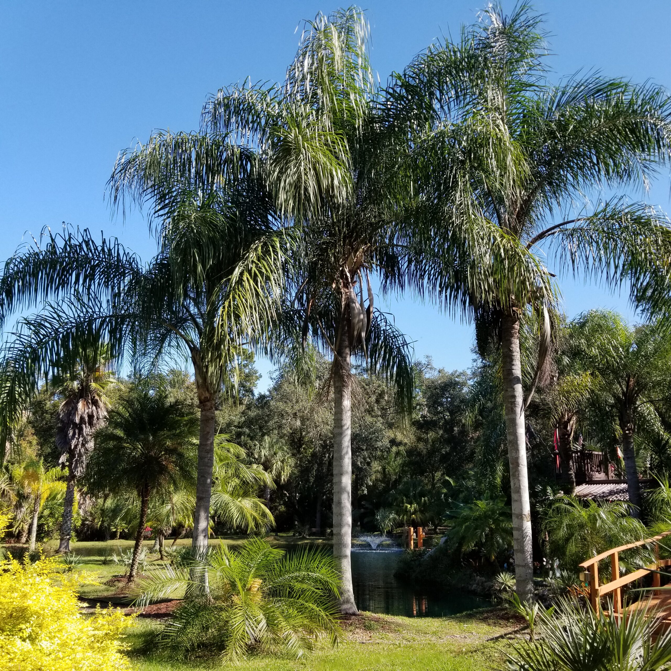 Home St. Johns Botanical Garden and Nature Preserve