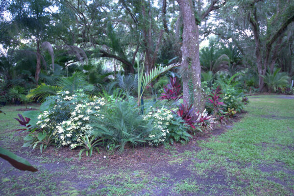 St. Johns Botanical Garden - Homepage Photo