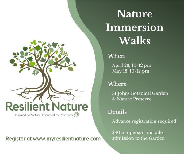 Nature Immersion Walk through the Garden